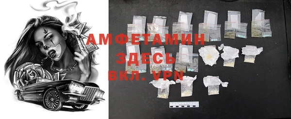 ПСИЛОЦИБИНОВЫЕ ГРИБЫ Арсеньев