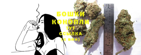 ПСИЛОЦИБИНОВЫЕ ГРИБЫ Арсеньев