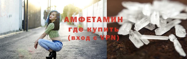 ПСИЛОЦИБИНОВЫЕ ГРИБЫ Арсеньев