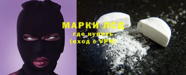 ПСИЛОЦИБИНОВЫЕ ГРИБЫ Арсеньев