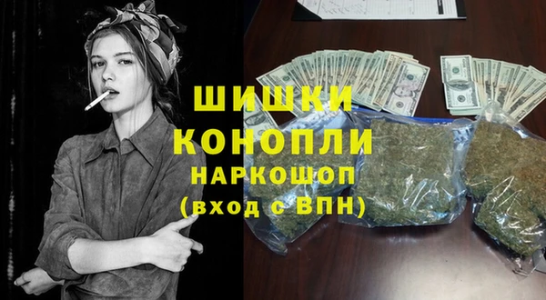 ПСИЛОЦИБИНОВЫЕ ГРИБЫ Арсеньев