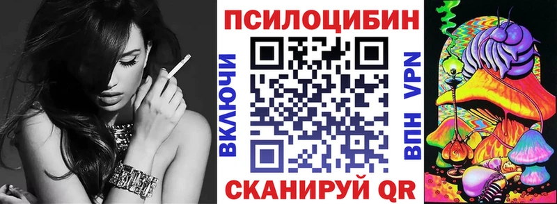 Галлюциногенные грибы Psilocybine cubensis  Порхов 