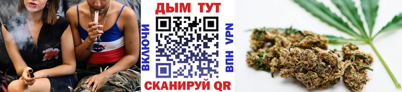 Конопля ГИДРОПОН  хочу   Порхов 